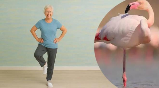 <span><em><strong>Son y�llarda bir�ok ara�t�rmaya konu olan 'tek ayak �zerinde durma' testi, v�cudun nas�l ya�land���na dair �nemli bir g�sterge olabiliyor. Tek ayak �zerinde dururken devreye giren denge ve kas kontrol�n�n ya�la birlikte geriledi�ine dikkat �eken uzmanlara g�re bu test, ki�i i�in �l�� niteli�i ta��yor.</strong></em></span>