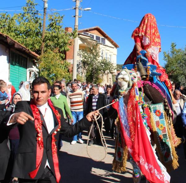 Tanyer Kaplan, dn gnn unutulmaz klmak amacyla gelin arabas yerine nianls Hatice Gl', k aylarnda green ve yaz aylarnda da turist gezdiren deve ile almaya gitmeye karar verdi.