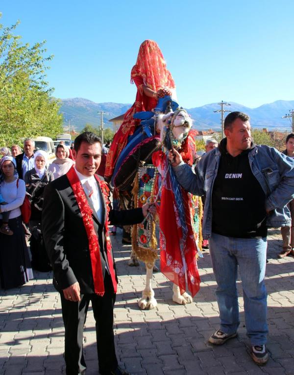 Aydn'dan getirttii deveyi arkadalar ile ssleyen Kaplan, beldenin cadde ve sokaklarnda merakl gzlerle izlenen deve ile nianlsnn oturduu ar Mahallesi'ne gitti.