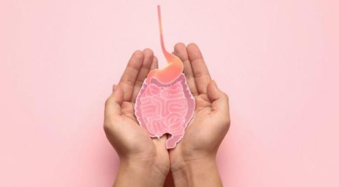 <strong>Do�ru ve sa�l�kl� besinlerin ba��rsak sa�l��� i�in �nemine dikkat �eken Beslenme bilimcisi Toral Shah, ba��rsak mikrobiyomunun yiyecekleri par�alad���n�, besin emilimini sa�lad���n� ve zararl� patojenlerle sava�t���n� belirtiyor.</strong>