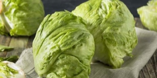 D�nyan�n en sa�l�kl� ye�illi�i