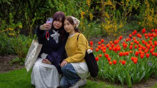 <strong>Daha sonra takvimler 1641 y�l�n� g�sterdi�inde Keukenhof �atosu in�a edildi ve b�lge geni�leyerek 200 hektar�n �zerine ��kt�.</strong>