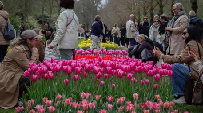 <strong>Keukenhof'un tarihi 15'nci y�zy�la uzan�rken s�z konusu b�lge bir d�nemin soylular�ndan Jacoba van Beieren taraf�ndan Teylingen Kalesi'nin mutfa�� i�in av sahas� olarak kullan�l�yordu.</strong>