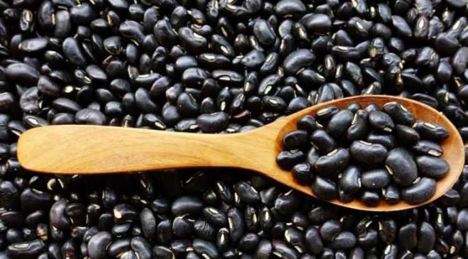 <strong>Ayr�ca fasulyede yer alan y�ksek orandaki lif, ba��rsaktaki sa�l�kl� probiyotiklerin �o�almas�na olanak tan�yor ve tok tutma �zelli�iyle kilo alma sorununu geride b�rakabiliyor.</strong>