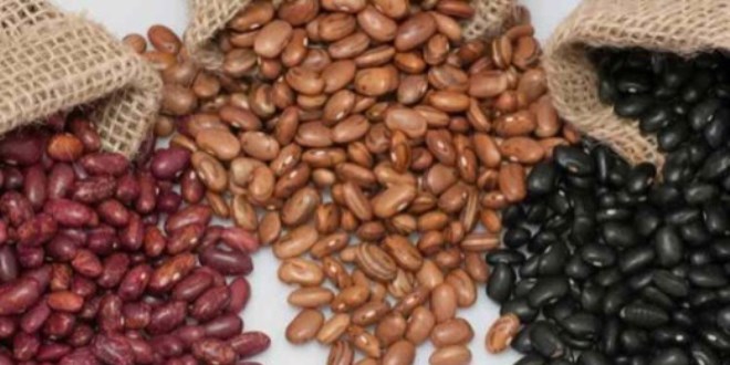 100 ya��n� a�anlar�n ortak s�rr�!