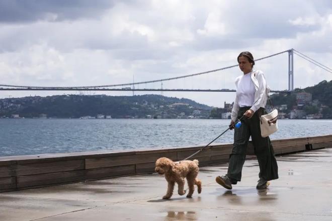 <p>Meteoroloji Genel M�d�rl��� (MGM), bu hafta i�in kuvvetli ya��� uyar�s�nda bulundu.</p><p>&nbsp;</p><p>�stanbul, Ankara, �zmir, Antalya ve Bursa dahil olmak �zere yurdun her yerinde 5 g�n boyunca kuvvetli g�k g�r�lt�l� ya���lar bekleniyor.</p>