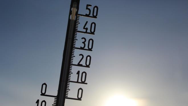 <p><strong>1) Burkina Faso: 30.0�C</strong></p> <p>Y�l boyunca devam eden a��r� s�cakl�klarla listenin zirvesinde yer al�yor.</p> <p><strong>2) Mali: 29.7�C</strong></p> <p>Sahra ��l�'n�n etkisiyle yaz aylar�nda ekstrem s�cakl�klar g�r�l�yor.</p> <p><strong>3) Aruba: 29.6�C</strong></p> <p>Tropikal iklim nedeniyle s�cakl�k y�l boyunca y�ksek seyrediyor.</p> <p><strong>4) Senegal: 29.4�C</strong></p> <p>Bat� Afrika'n�n s�cak ve kurak iklim ku�a��nda bulunuyor.</p> <p><strong>5) Moritanya: 29.3�C</strong></p> <p>��l iklimi nedeniyle g�n i�inde s�cakl�klar �ok y�ksek seviyelere ��kabiliyor.</p>