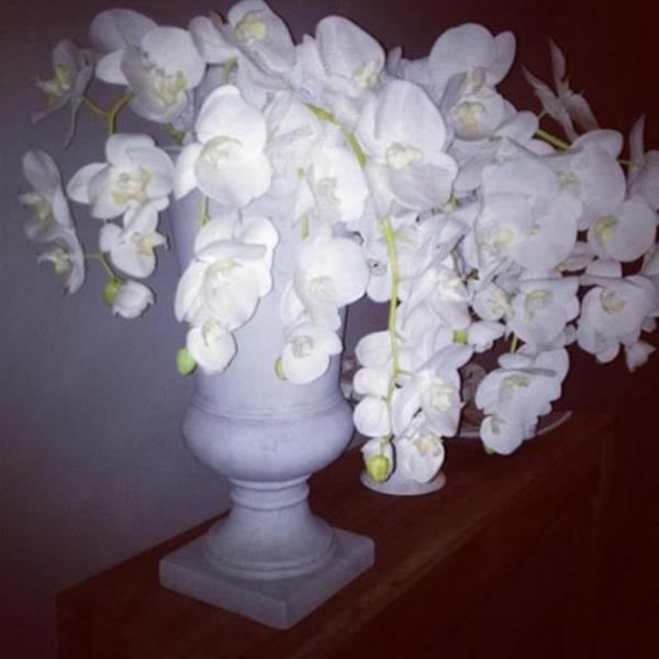 DENZ SEK Zarafete bakn