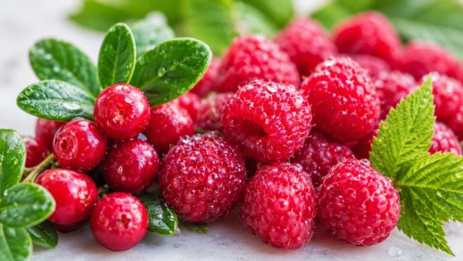 G�nl�k s�v� ihtiyac�nda su ilk s�rada yer al�yor. Ancak baz� meyveler, y�ksek su oranlar�n�n yan�nda vitamin, mineral, lif ve elektrolit i�eri�iyle hidrasyona destek olabiliyor. Verywell Health yay�nlad��� i�erikte salatal�ktan karpuza, �ilekten ananasa kadar bir�ok meyveyi bu y�n�yle �ne ��kar�yor.