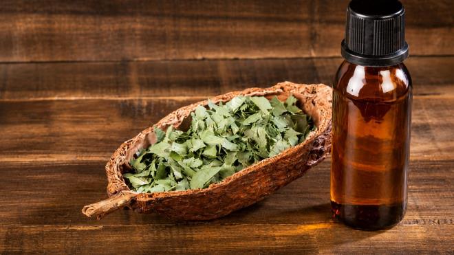 <p><strong>6. Limon Okalipt�s Ya�� Etkili Bir Se�enek</strong></p> <p>Limon okalipt�s ya��, i�erdi�i PMD bile�eni sayesinde do�al b�cek kovucular aras�nda yer al�yor. Uzmanlar, bu ya��n bir�ok b�cek t�r�nde oldu�u gibi kar�ncalar �zerinde de uzakla�t�r�c� etki g�sterebildi�ini belirtiyor.</p>