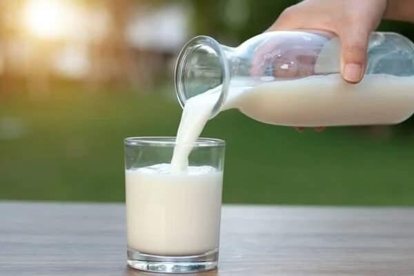 Yap�lan ara�t�rmalara g�re de ke�i s�t�n�n kolesterol�n v�cuttan at�lmas�na yard�mc� oldu�unu, i�erdi�i baz� proteinlerin tansiyonu d���rmeye yard�mc� olan bile�enler i�erdi�ini belirtti.