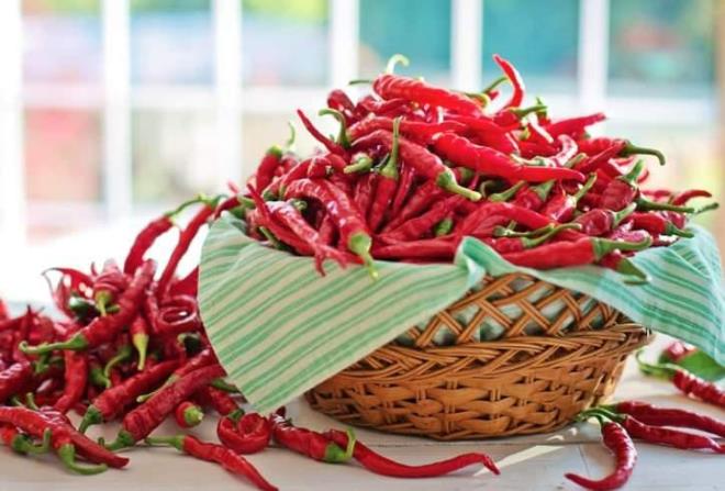 T�RK�YE'N�N EN ACI B�BER� SAMANDA� B�BER�<br>�lkemizin en ac� biberi ise Samanda� biberidir. Scoville �l�e�ine g�re ortalama 50.000 SHU'dur.<br>T�rkiye'nin en ac� biberi unvan�yla 1. s�rada yer al�r.