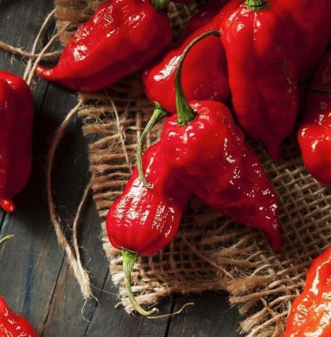 <p>3. BHUT JOLOK�A B�BER�</p>    <p>SHU: 600.000-1.041.427&nbsp;</p>    <p><em><strong>Bir d�nem d�nyan�n en ac� biberi olarak Guinness Rekorlar Kitab�'na girdi. Hindistan k�kenli.</strong></em></p>