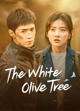 THE WH�TE OL�VE TREE&nbsp;