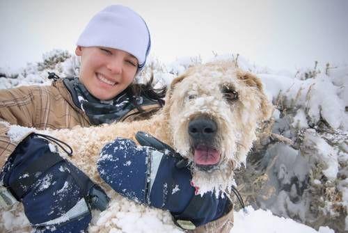 duhul-u hayvanat : zoofili