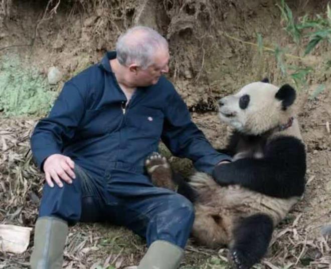 <p>PANDA BAKICISI</p>    <p>�in'deki panda koruma merkezlerinde pandalar�n beslenmesi, temizli�i ve sa�l�k kontrolleriyle ilgileniyor.</p>