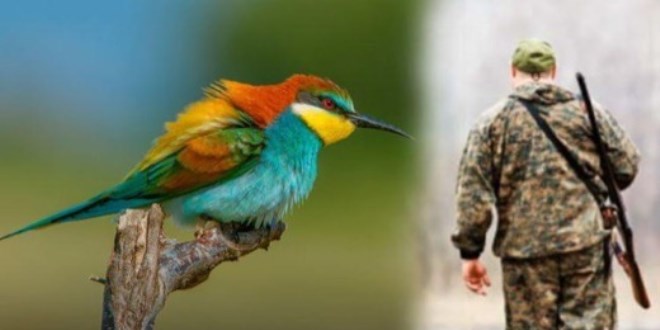 Tek bir ku� i�in 145 bin liraya kadar ceza