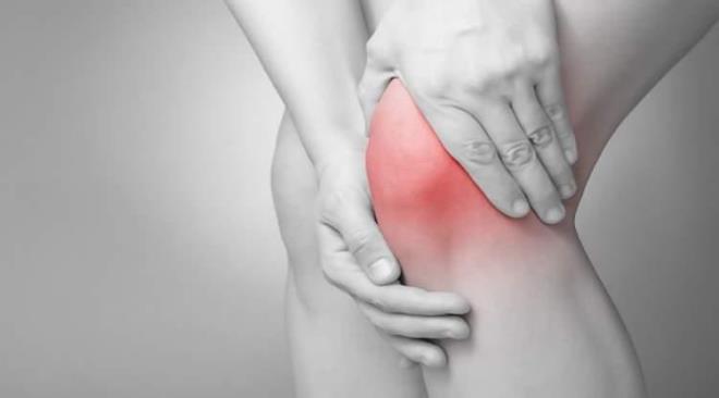 Karatay v�cutta biriken ya�lar�n kronik inflamasyonla ba�lant�l� oldu�unu �ne s�rerek diz ve eklem a�r�s�n�n yap�s�na de�indi.