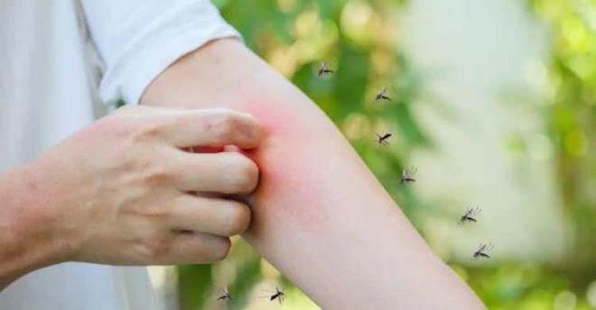 Sivrisineklerin ise insanlara �zg� koku imzas�n� bulduklar� ortaya ��kt�. Ki�inin genetik �zellikleri, v�cut s�cakl���, metabolizma ve yay�lan karbondioksit gibi fakt�rlerin cilt mikrobiyomunda olu�turdu�u koku da sivrisineklerin kime yakla�aca�� konusunda sinyaller veriyor.