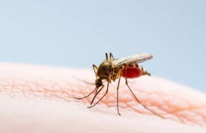 Deneye kat�lan bireylerin cildinde toplam 246 farkl� mikrop t�r� tespit edildi�i, ve ciltlerindeki ortaya ��kan kimyasal bile�enlerin de�i�mesine neden oldu�unu belirtti.