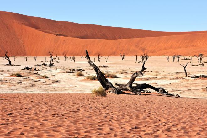 Dead Vlei - Namibya <BR>Kurumu� a�a�lar�n turuncu ��l kumlar�yla olu�turdu�u kontrast, d�nyan�n en s�ra d��� manzaralar�ndan biri.