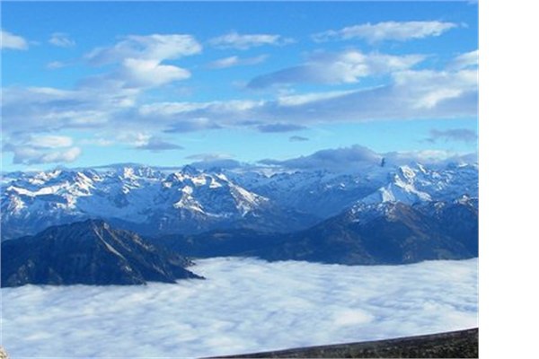 <p><b>25- Avusturya</b></p>  lkede stn zeka seviyesine sahip 143 bin kiinin olduu tahmin ediliyor.