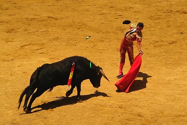 <p><b>18- spanya</b></p>  stn zekal kii says 354 bin.