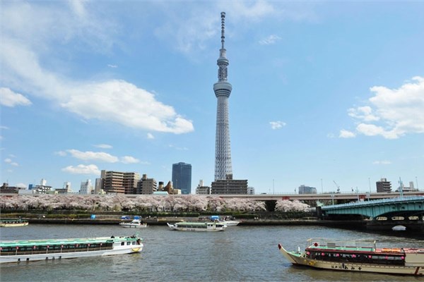 <p><b>2- Japonya</b></p>  Japonya'da stn zekal 5,1 milyon kii yayor.