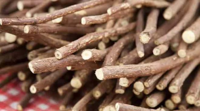 G�neydo�u’nun gastronomi k�lt�r�n�n par�as� olan ve g�n�m�zde de geleneksel y�ntemlerle haz�rlanmaya devam eden meyan k�k� �erbeti aromas�yla da haf�zlarda yer ediyor.