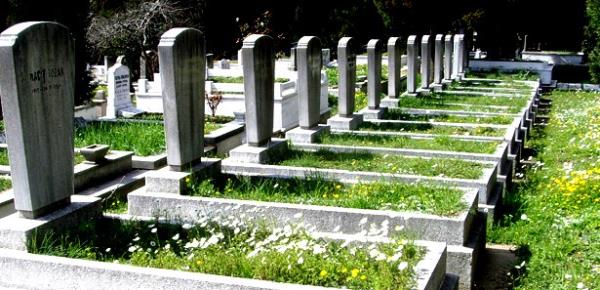 Kalbin durmasndan sonraki saniyeler iinde beyin aktivitesi etkileniyor ancak besinsiz kalan hcrelerin kendi lm srecini balatmalar dakikalar alyor" dedi.