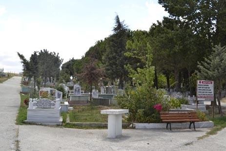 Beyni ve kalbi saatlerce sessiz kaldktan sonra herhangi bir beyin hasarna uramadan tekrar yaama dnen insanlar olduunu hatrlatan Dr. Becker, bu vakalardaki en nemli etkenin vcut ssnn dmesi olarak tanmlanan hipotermi olduuna iaret etti.