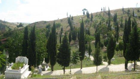 Hayata geri dndrme ilemlerinin etik yanna deinen Mayer, "Beyin hasar ile lm hakknda, yeterli bilgiye sahip deiliz.