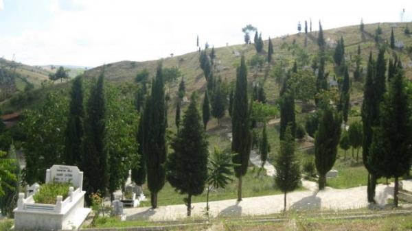 Bilim, bu sinyalleri 'bekleyin' eklinde deitirme olanana sahip" ifadesini kulland.