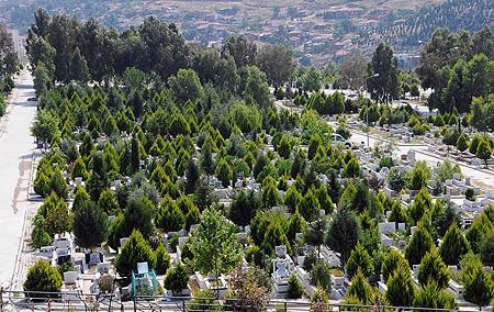 Oysa yeniden canlandrma alanndaki son gelimeler, kiinin kalbi durduktan saatler sonra bile tekrar yaama dndrlebileceini gsterdi" dedi.