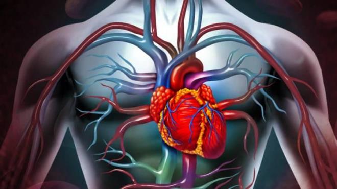 Kardiyolog uzmanlar�, damar sa�l���n� korumak isteyenlerin yedikleri ve i�tikleri besinlere dikkat etmeleri gerekti�ini �nceliyi tedaviler ile ciddi sorunlar�n �n�ne ge�ilebilece�i uyar�s�nda bulundu.