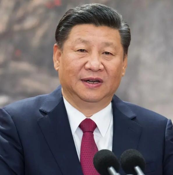 <h3>XI JINPING | BIG DADY XI</h3> <p> Anlam�: B�y�k Baba XI</p> <p> �in Devlet Ba�kan�</p>