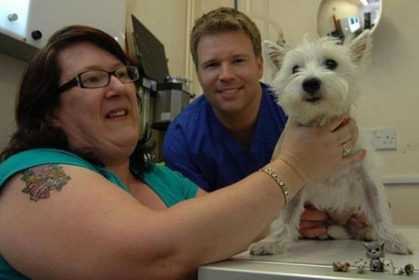 Reed, "Rntgen sonular iin veterinerden arayp rntgen sonularn 'Kpeiniz be kedi yutmu' dediinde duyduklarma inanamadm. Gerek kediler sandm. Neyse ki iyi olduu iin mutluyuz. Bir daha olmamas iin elimizden geleni yapacaz" diye konutu.