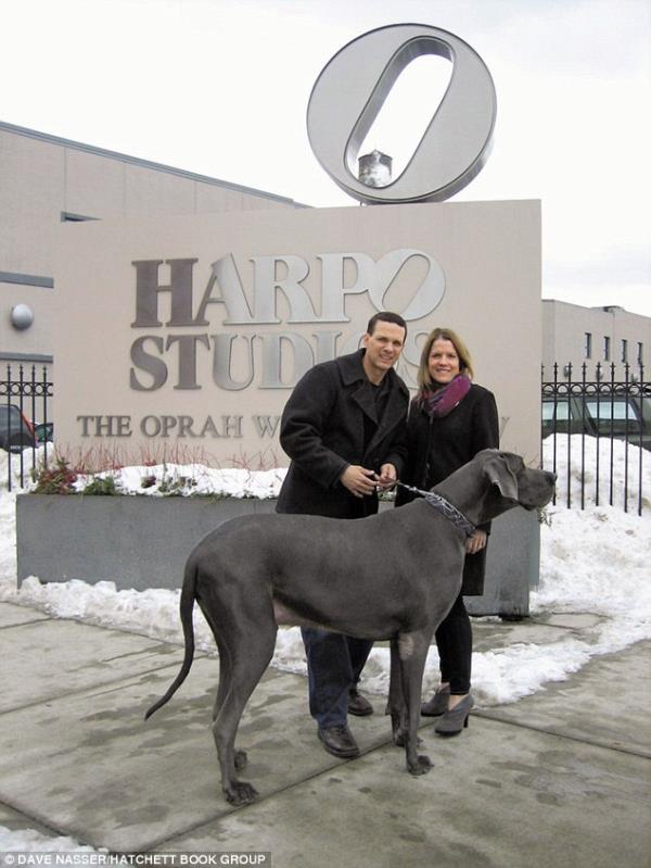 Guinness Rekorlar Kitabna gre dnyann en byk kpei olan Giant George (Dev Cor) hayatn kaybetti.