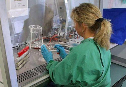 Bilimsel aratrma ve gelitirme faaliyetleri 134,88 TL