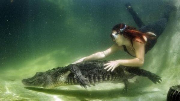 Bu ava en byk ilgiyi ise kadnlar gsteriyor.