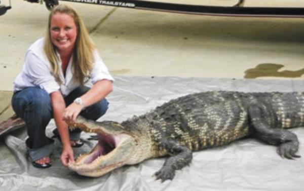 Glkle kontrol altna alnan timsahlar ise teknelerle blgeden uzaklatrlyor.