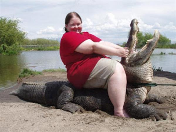 Yakalanan timsahlar insanlardan uzak blgelere tanyor.