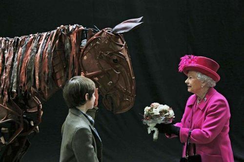 ngiltere Kraliesi II. Elizabeth, ngiltere Ulusal Tiyatrosu'nun 50. kurulu yldnmnde, tiyatroyu gezdi. Kralie ziyareti srasnda, "War Horse" isimli oyunda kullanlan gerek boyutlarnda dizayn edilmi kukla at da inceledi. ngiltere