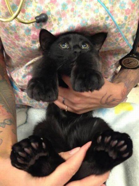 <b>Ve dier ilgin kareler</b>