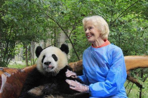 Avustralya'nn Genel Valisi Quentin Bryce, Chengdu Panda Aratrma ss'nde bir panda ile birlikte objektiflere poz veriyor. in