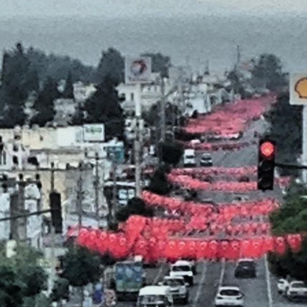 <b>ALP KIRAN</b> Turgutreisten sevgiler :)