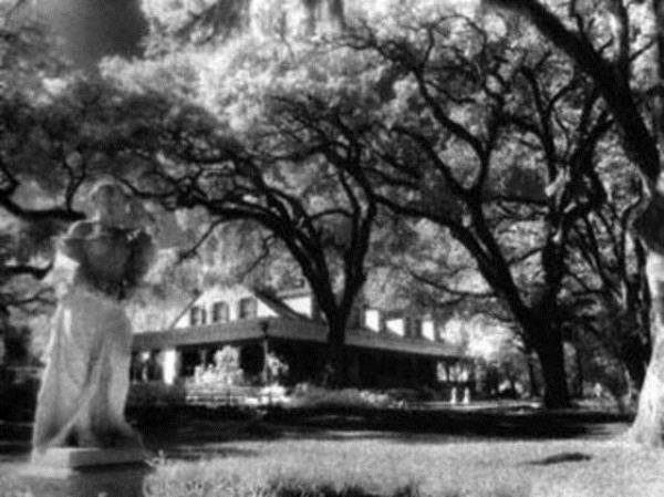 Myrtles Plantasyonu St. Francisville, Louisiana'da bulunan bu ev "Amerika'nn en lanetli evi" olarak da bilinir. Canlanan yalboya tablolar, kanl el izi ve kendi kendine alp-kapanan kaplar fenomen lanetleri arasnda