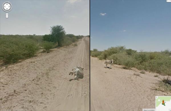 Uzun sre haberlere konu olan bu kare, Botsvana'da ekildi. Street View arac, eei ezip gemekle suland, Google "eek lmedi" aklamas yapt.