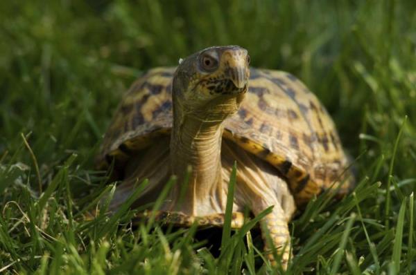 nternetiniz ok yava.