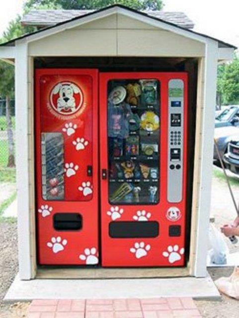 Hediyelik Eya Otomat